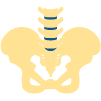 骨盆